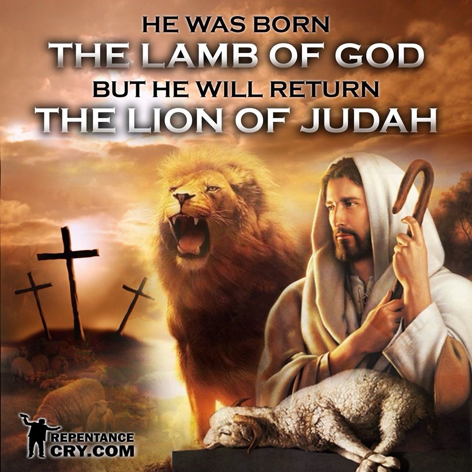 Biblical Spring Feasts The Passover Lamb Fulfills the Spring Feasts – Walking in the Dark with ...